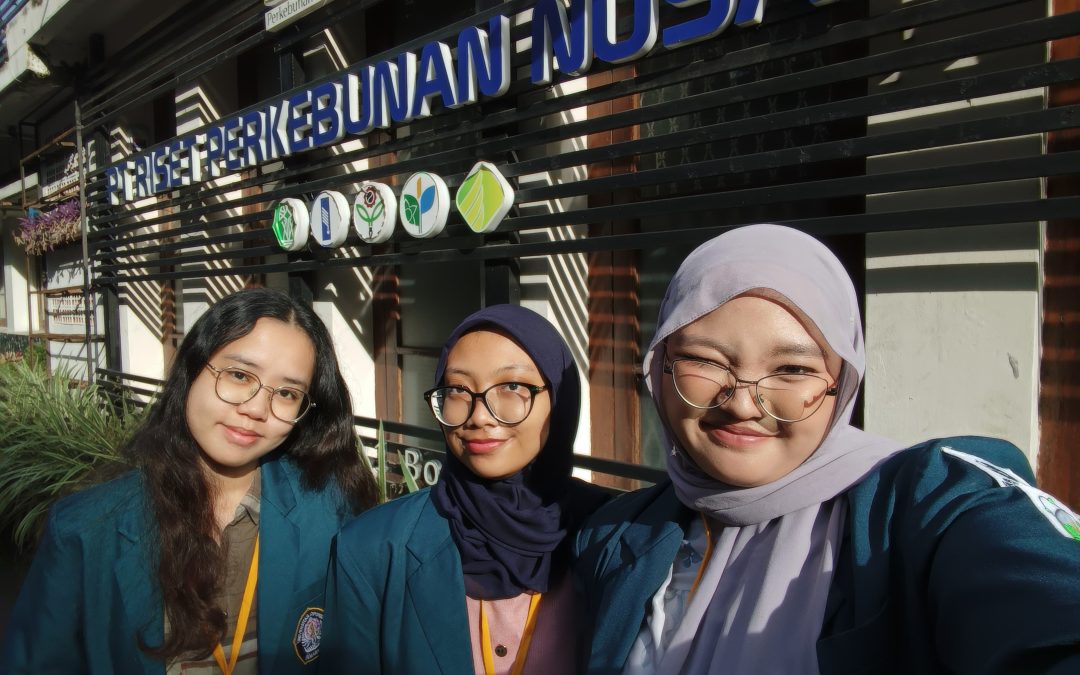 Regenerasi Embrio Somatik dan Transformasi Genetik pada Tanaman Kelapa Sawit, Mahasiswa UNDIP Jalani Riset di PPKS Bogor